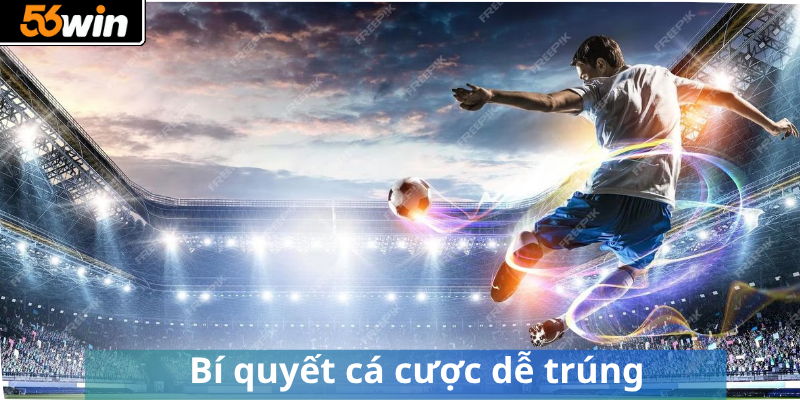 Bí quyết cá cược dễ trúng