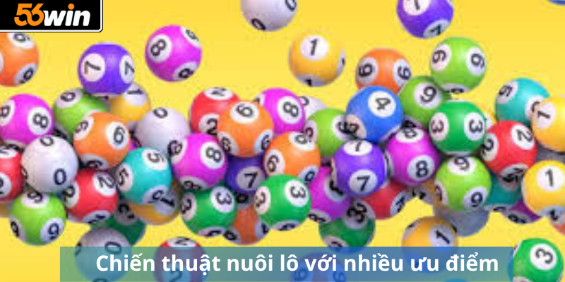 Chiến thuật nuôi lô với nhiều ưu điểm