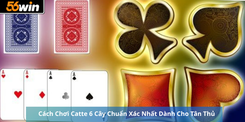 Cách Chơi Catte 6 Cây Chuẩn Xác Nhất Dành Cho Tân Thủ