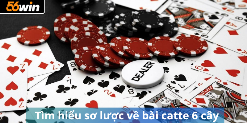 Tìm hiểu sơ lược về bài catte 6 cây