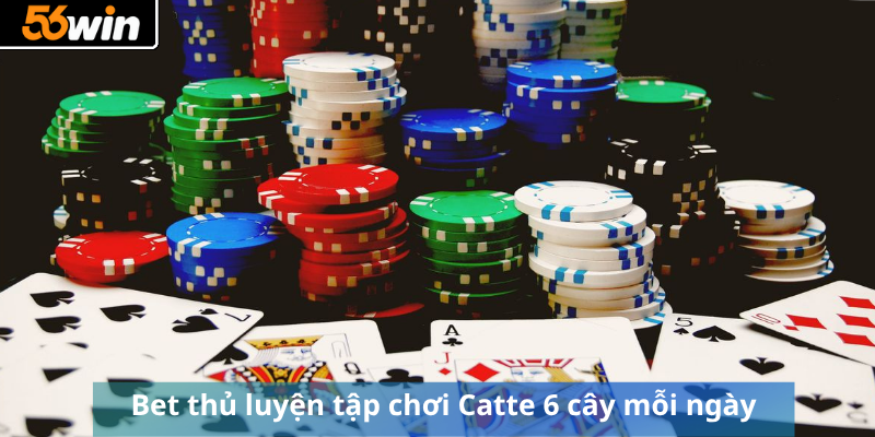 Bet thủ luyện tập chơi Catte 6 cây mỗi ngày