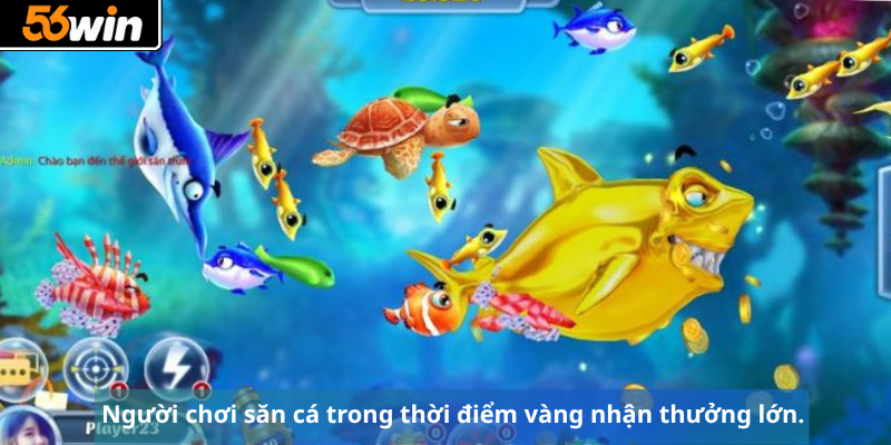Người chơi săn cá trong thời điểm vàng nhận thưởng lớn.
