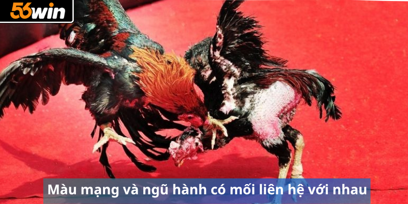 Màu mạng và ngũ hành có mối liên hệ với nhau