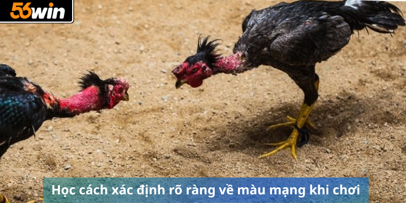 Học cách xác định rõ ràng về màu mạng khi chơi