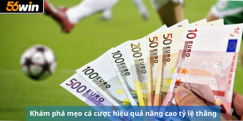 Khám phá mẹo cá cược hiệu quả nâng cao tỷ lệ thắng