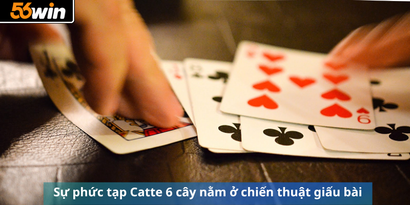 Sự phức tạp Catte 6 cây nằm ở chiến thuật giấu bài