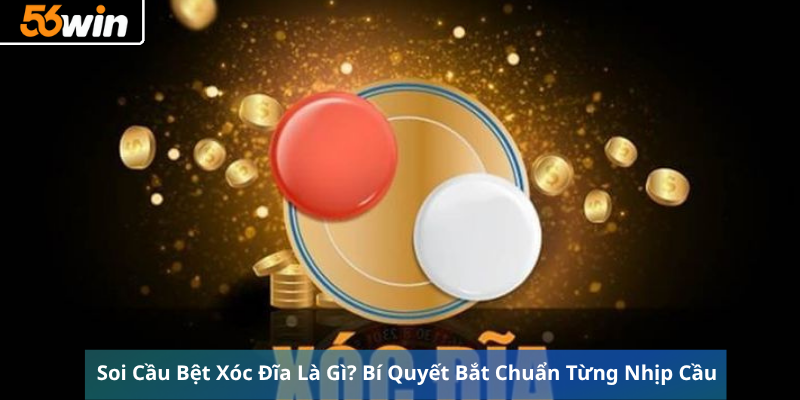 Soi Cầu Bệt Xóc Đĩa Là Gì? Bí Quyết Bắt Chuẩn Từng Nhịp Cầu