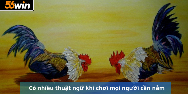 Có nhiều thuật ngữ khi chơi mọi người cần nắm